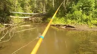 за хариусом, таёжная речка