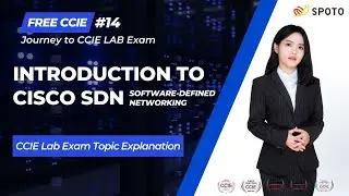 CCIE Mastering SDN (Software-Defined Networking)–My CCIE Journey