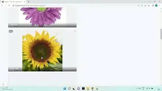 Merge JPG images to one PDF - imageonline.co