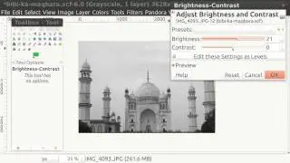 GIMP Converting to Grayscale Mode