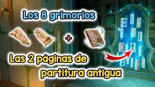✨ GUIA 
