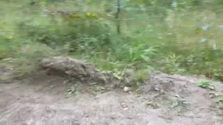 мотоблок