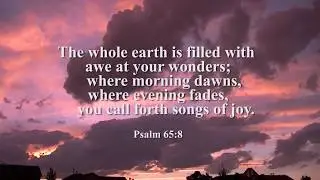 Wonder Devotion