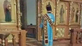 Прямая Трансляция Божественной Литургии 10.12.22