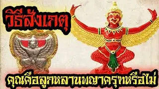 วิธีสังเกตุคุณคือลูกหลานพญาครุฑหรือไม่ หรือมี #พญาครุฑ คุ้มครองอยู่