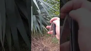 Складной нож ТАНТО от Кизляр