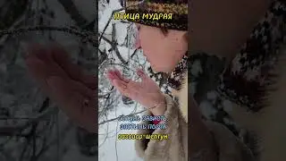 Заговор-шептун ОСТЫНЬ ЗАВИСТЬ, ЗАСТЫНЬ ПОРЧА