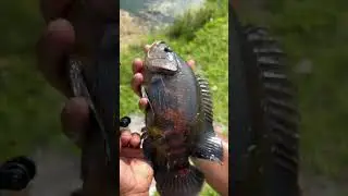 World’s Smallest Fishing Rod