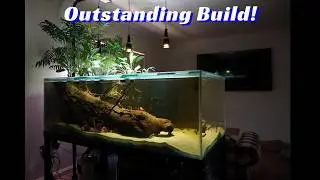 Natural River Style Aquascape 