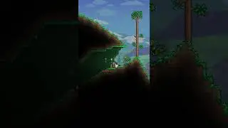 Terraria's Craziest Mod!!