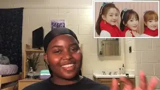 HazeReacts to IZ*ONE (아이즈원) - 라비앙로즈 (La Vie en Rose) MV