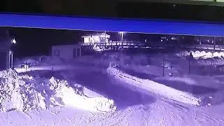 Я не хочу, чтобы меня сожрала стая голодных псов -анапчанин поделился мнением