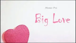 Memo Pro - Big Love