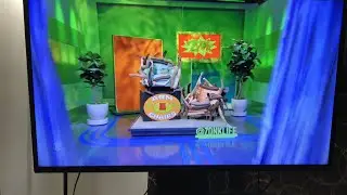 ZONK Arm Chair