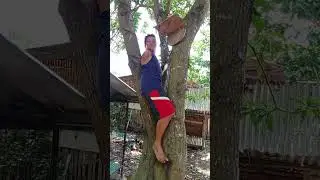 I tried to climb trees