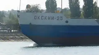 опять зелень