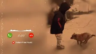 Tak Takding Tak Go Ringtone | Trending Ringtone | Doggy Dance Viral Ringtone | New Ringtone