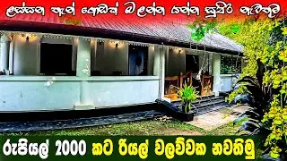 රුපියල් 2000කට රියල් වලව්වක ඉදලා මාතලේ පැත්තේ රවුමක් ගහන්න ඔයාලට සුපිරි තැනක් | walwawa matale
