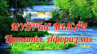 Цитаты со смыслом, Афоризмы, высказывания, Фразы о жизни