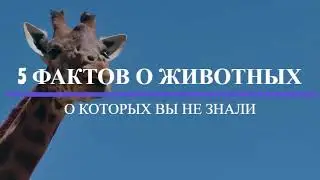 5 Фактов о животных! О которых вы не знали !!!