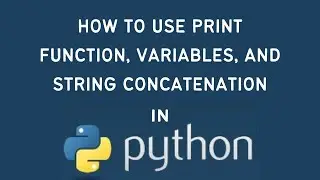 Python Tutorial: How to Use Print, Variables, and Strings Concatenation