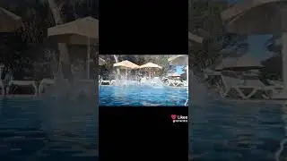 15 августа 2024 г.