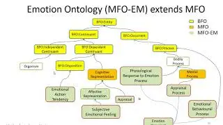 The Ontology of Emotions
