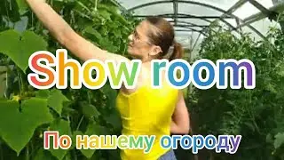 Огородный променад!