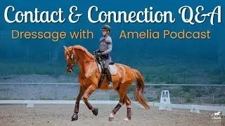 Contact & Connection Q&A