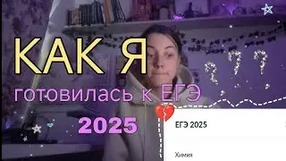 ⊹ ࣪ ˖КАК Я ГОТОВИЛАСЬ К ЕГЭ 2025? Химия и биология на 80+ баллов|подготовка в 100балльном репетиторе