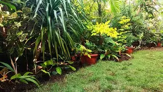 Taking beautiful landscape to the Next Level  using potted plants in Rural area