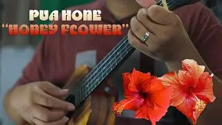 Pua Hone UU+ Solos Preview