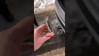 VW Tiguan.Замена блока RDKS 