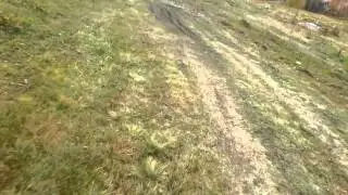 Vitak 07
