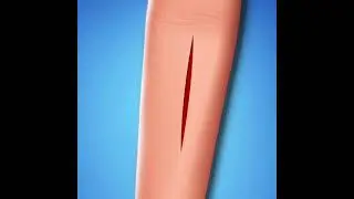 hand reflex action biology