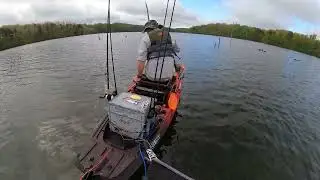 Farmville VA Kayak Bass Fishing! Just a few catches from Briery Creek Lake in Farmville, VA