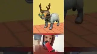 Топ 5 скинов в cat simulator 