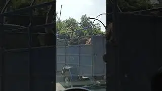 Криминал...