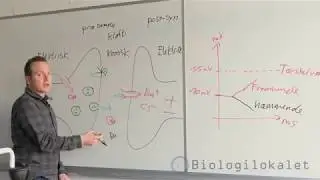 OBS Ny video findes på kanalen :-)
