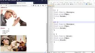 Styling a Website using External CSS