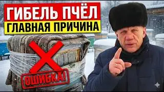 Гибель пчёл зимой Ошибки пчеловода Вентиляция в улье зимой