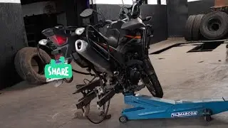 Perrengue de Domingo