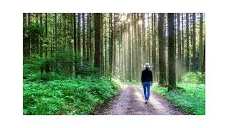 Waiting For You   Le Gang · No Copyright safe Music