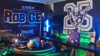 Dj Wicked - TIGER (1997) Vinyl