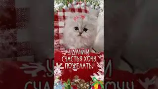 Поздравление к новому году #поздравление #сновымгодом #пожелания