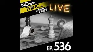 536: No Such Thing As A Soaring Chinchilla