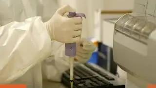 Российские генетики приступают к тестированию вакцины от коронавируса, она должна появиться уже в