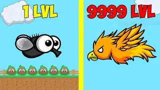 FLYORDIE.IO IN RUSSIAN IO GAME ABOUT THE EVOLUTION OF BIRDS-ESCAPE FROM THE TURKEY