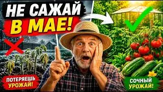 Lunar Sowing Calendar for MAY 2026: These 5 Days Will Ruin Your Harvest! What and When to Plant?