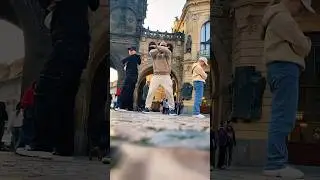 Просто чудесный день